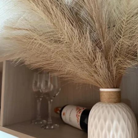 Francesco's House-airport